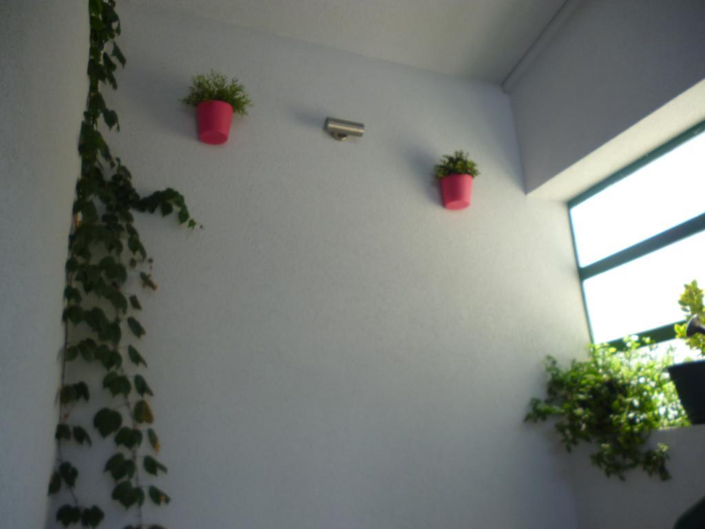 Apartment Duje Makarska Exteriör bild